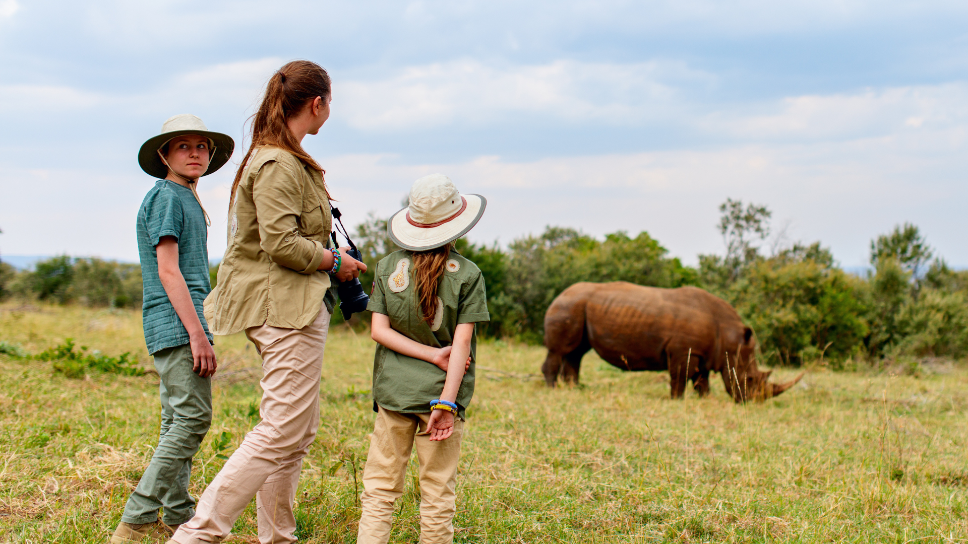 safari